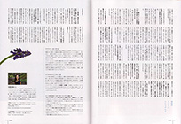 BUHI　2012年　秋Vol.24 P3,4